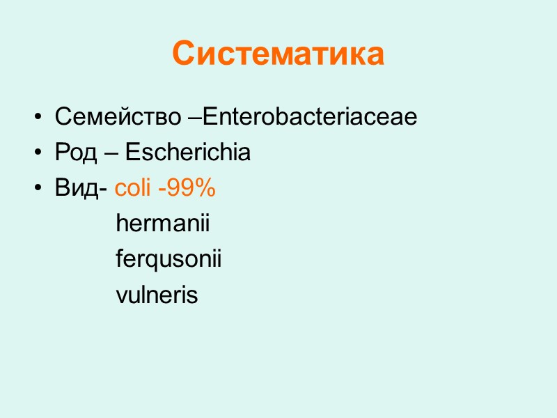Систематика Семейство –Enterobacteriaceae Род – Escherichia Вид- coli -99%     